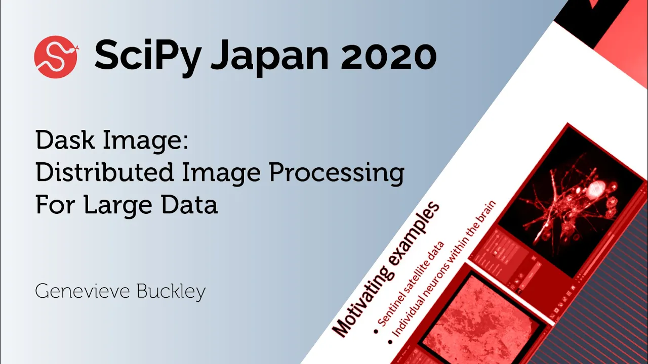 Image from Dask Image - Distributed Image Processing for Large Data