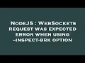 NodeJS WebSockets request was expected error when using -inspect-brk option
