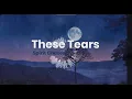 Download Lagu Spirit Chaser - These tears (Slowed) #oldschool