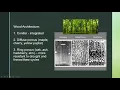 Botany 101 Crash Course
