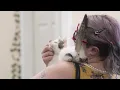 Kitty Corner Cafe in Billings offers comfort and connection to people and cats alike