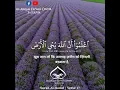 Download Lagu Surah Al-Hadid | Verse 17