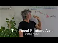 The Pineal-Pituitary Axis Learn Integral Anatomy with Gil Hedley