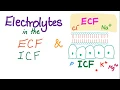 Electrolytes in the ECF and ICF - Sodium Potassium Chloride Calcium HCO3
