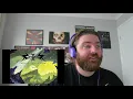 Australian Metalheads FIRST REACTION to Vektor -Tetrastructural Minds (Song review/Reaction)