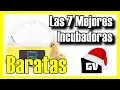 Las 7 MEJORES Incubadoras BARATAS de Amazon 2025 De pollos y huevos automaticas