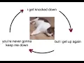 Download Lagu i get knocked down (cat edition)