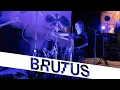 Download Lagu Brutus — What Have We Done | StuBru LIVE LIVE | Studio Brussel
