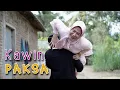 Download Lagu Komedi Jawa || Kawin Paksa || Ruwet Eps. 97