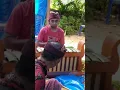 Download Lagu MENGIRINGI UPACARA MANUSIA YADNYA (TIGA BULANAN) DI KEL. TANDEBURA / SANGGAR SENI SILA DHARMA