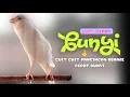 Download Lagu Cepat BUNYI !!! Suara PANCINGAN Kenari PAUD Belajar BUNYI Ngeriwik | MASTERAN Kenari PAUD #451
