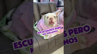 POLAR CONFESÓ ALGO QUE YO NO QUERÍA SABER 😭😂