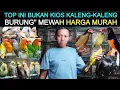 Download Lagu ✅TOP BUKAN KIOS KALENG\