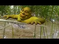Ranking The Top 5 Funniest Shrek Moments In Just 20 Seconds Must Watch If You Love Shrek