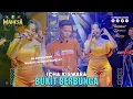 Download Lagu Icha Kiswara - Bukit Berbunga I Mahesa Music Live Gedeg - Mojokerto