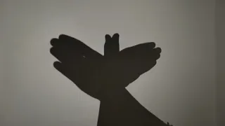 درس أشكال الظل للمبدع عصام الغافري من الصف ثاني رابع 