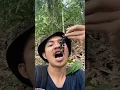 Download Lagu Bertahan hidup di hutan,dengan buah langka