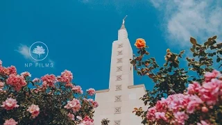 kim and steven la wedding video los angeles temple