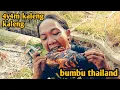 Download Lagu 4Y4M KALENG KALENG BUMBU THAILAND