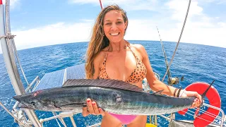 Champagne Sailing Ladies & Gentlemen | Sailing Indonesia, Ep 156