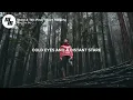 Said The Sky - Show & Tell (Lyrics / Lyric Video) feat. Claire Ridgely