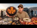 I Ate Everything I Wanted in Santa Barbara for 24 Hours