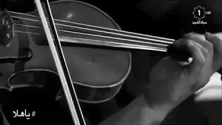 شباك اسماء المنور واتساب 