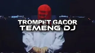 special 1k temeng dj trompet gacor new remix 2026 mp3