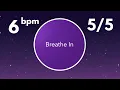 Coherent Breathing Timer - 6 Breaths Per Minute 5 Seconds in 5 Seconds Out With Bells