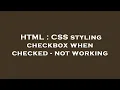 HTML CSS styling checkbox when checked - not working