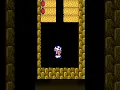 Hidden Cheat Code in Super Mario 2