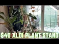 40 Aldi Plant Stand It s Good But I Have Some Thoughts