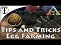 Egg Farming for the Kibble Rework Ark Survival Evolved Tips and Tricks