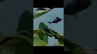 film afrika yang paling kocak