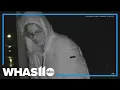 Nelson County sheriff searches for Grinch who stole holiday decorations