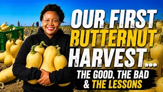 We Grew Organic Butternuts for the First Time, How Much We Sold For, What Worked & Mistakes to Avoid