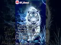 Download Lagu story'wa macan Allah pitutur jawi✓✓