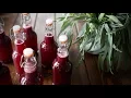 On Kombucha Continuous Brew Flavoring Ideas and a Few