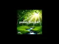 Download Lagu Posso, Lixo, Pá? (Dj Brunin XM, MC ISA)
