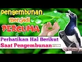 Download Lagu Akan Percuma Hasilnya PENGEMBUNAN KACER yang salah