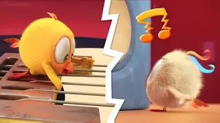 The Electric guitar | Where's Chicky? | Cartoon Collection in English for Kids | New episodes
