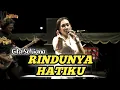 Lagu RINDUNYA HATIKU - GITA SELVIANA | LIVE ANNIVERSARY 1 DEKADE PMHK TAMAN PINKA SUSUHBANGO KEDIRI 2025