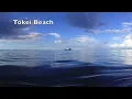 Download Lagu Sesoko \u0026 Tokei