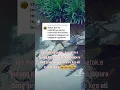Download Lagu viralkan yg komen menghina tkw#tiktok viral