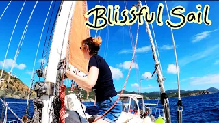 Why You Should Sail to the USVI | Sailing Wisdom [S4 Ep2]