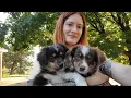 Saveafox house tour with Fawzi Fox