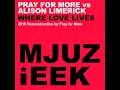 Where Love Lives (Pray For More's 2015 Vocal Reconstruction)