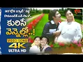 Kurise Vennello Song 4K | Muggurammayila Mogudu | Chandra Mohan, Vijji Chemistry | Old Telugu Songs