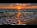 Tumhein Bhi Humse - Remix (Deep House Extended) | Vishal Mishra | Bollywood Romantic Love Song 2026