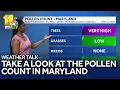 Weather Talk Looking at Maryland s pollen count